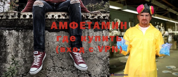 ГАЛЛЮЦИНОГЕННЫЕ ГРИБЫ Алзамай