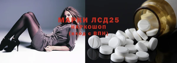 ГАЛЛЮЦИНОГЕННЫЕ ГРИБЫ Алзамай