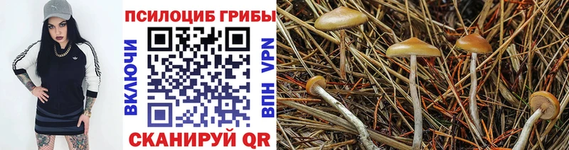 Псилоцибиновые грибы мицелий blacksprut вход Пролетарск наркошоп